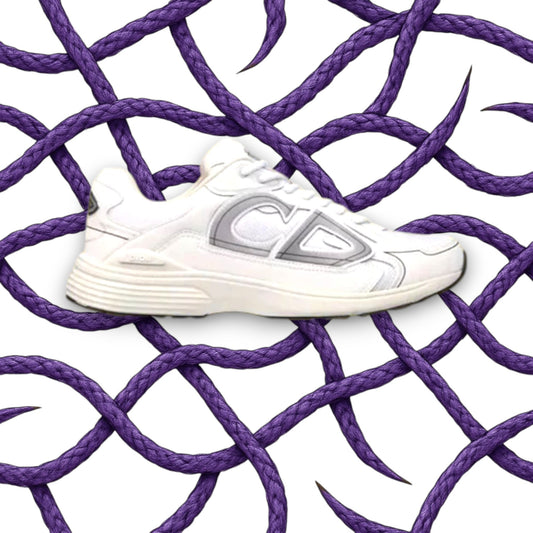 Dior B30 WHITE